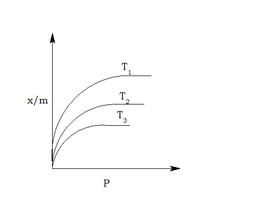 Freundlich isotherm