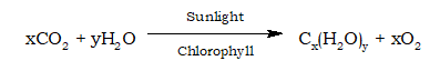 Photosynthesis