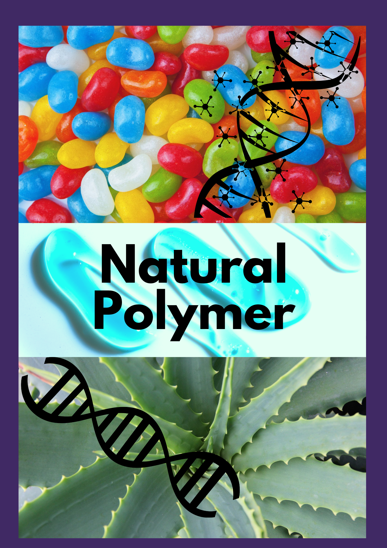 Natural Polymer