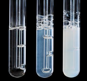 Lime water Test for Carbon dioxide