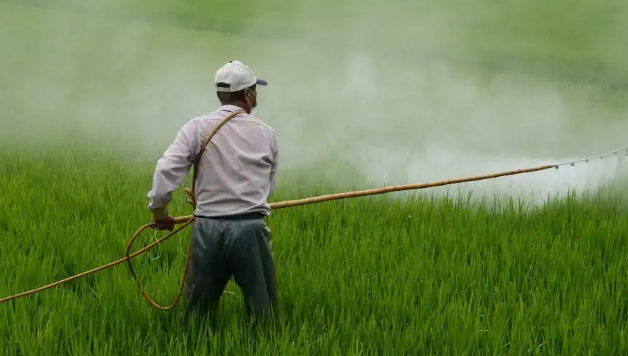 Pesticides ALL ABOUT CHEMISTRY