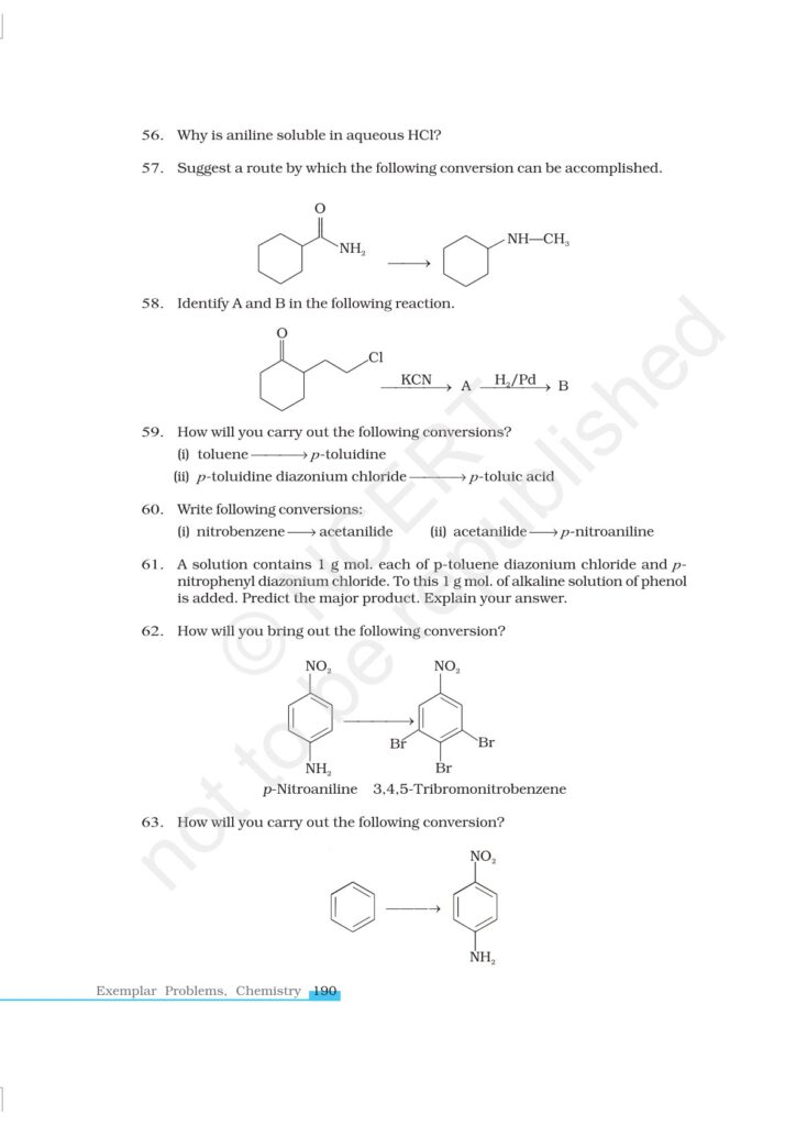 Organic Compounds Containing Nitrogen Class 12 NCERT Exemplar|CBSE|Biswajit Das
