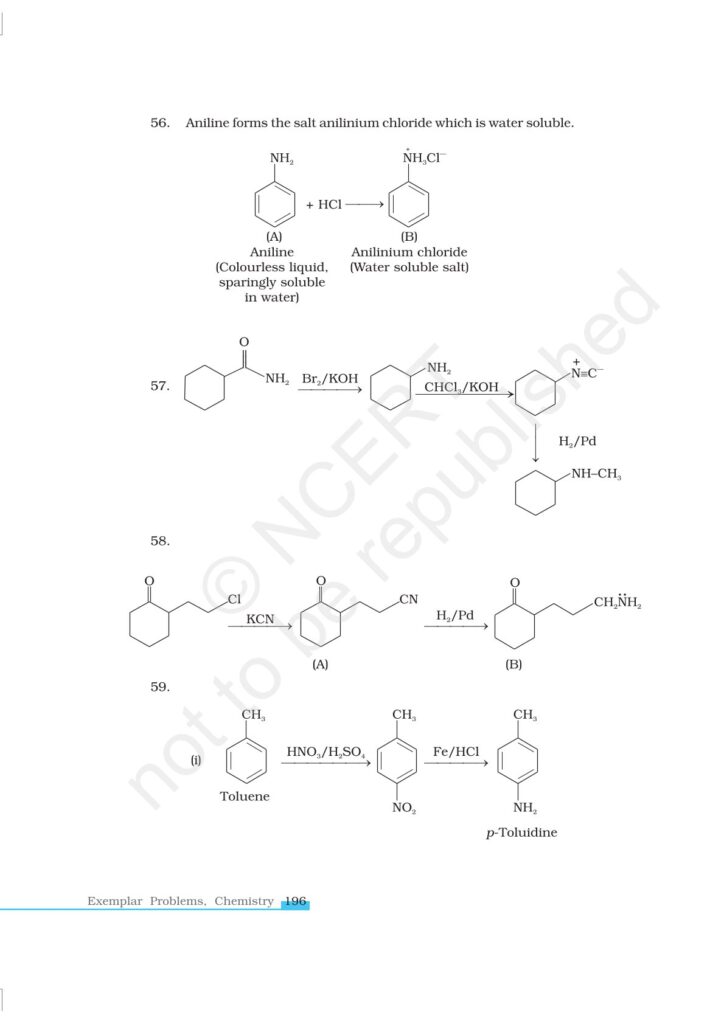 Organic Compounds Containing Nitrogen Class 12 NCERT Exemplar|CBSE|Biswajit Das
