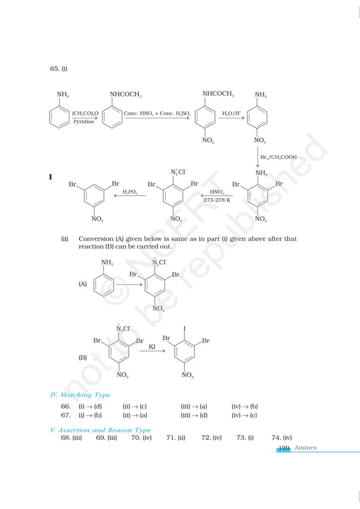Organic Compounds Containing Nitrogen Class 12 NCERT Exemplar|CBSE|Biswajit Das
