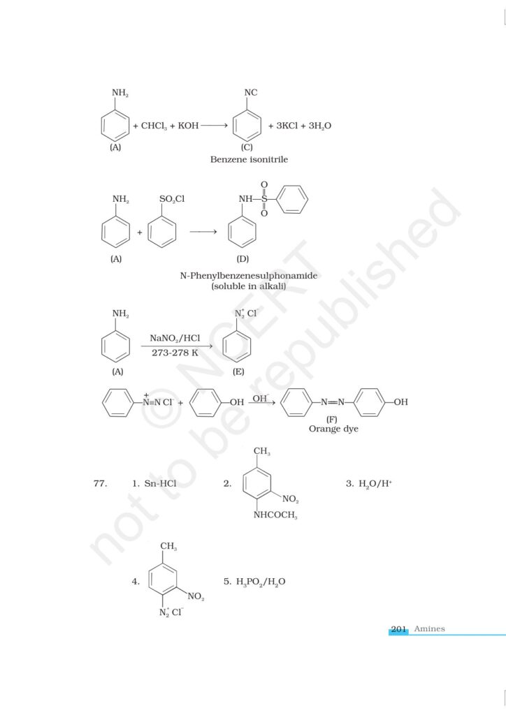 Organic Compounds Containing Nitrogen Class 12 NCERT Exemplar|CBSE|Biswajit Das
